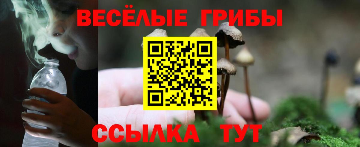 Псилоцибиновые грибы MAGIC MUSHROOMS  Вход с VPN  Кемерово  Псилоцибиновые грибы прущие грибы 