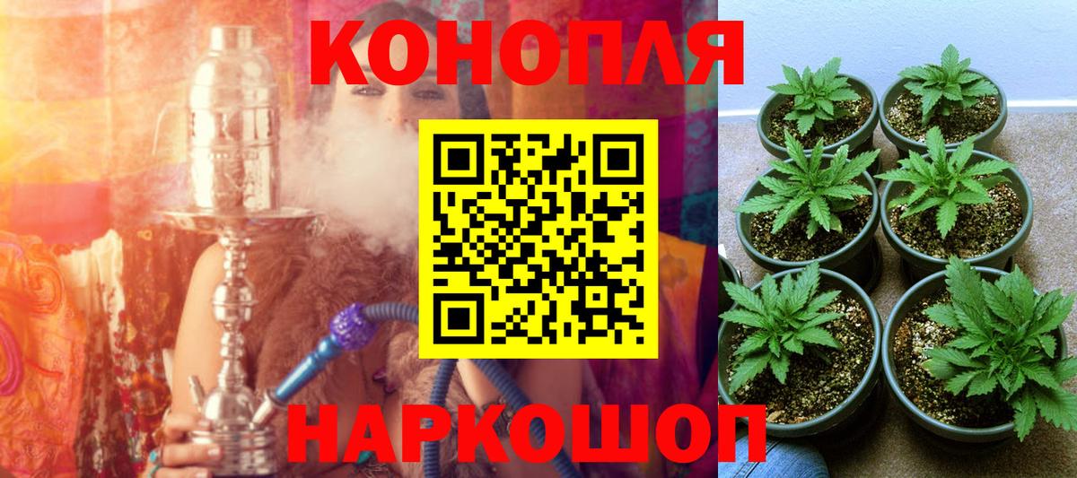 Бошки Шишки VHQ  Бошки Шишки сатива  Каннабис марихуана  Вход с VPN  Кемерово 
